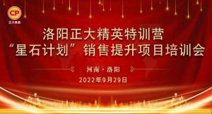 提升战力 稳攀高峰|洛阳星空体育平台登录官网(中国)官方网站精英特训营“星石计划”第四期销售提升培训会顺利召开